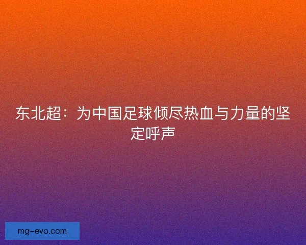 东北超：为中国足球倾尽热血与力量的坚定呼声