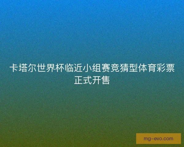 卡塔尔世界杯临近小组赛竞猜型体育彩票正式开售